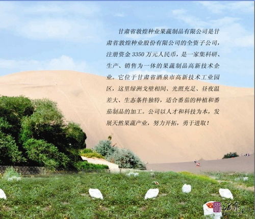 甘肅省敦煌種業(yè)果蔬制品新品上市啦