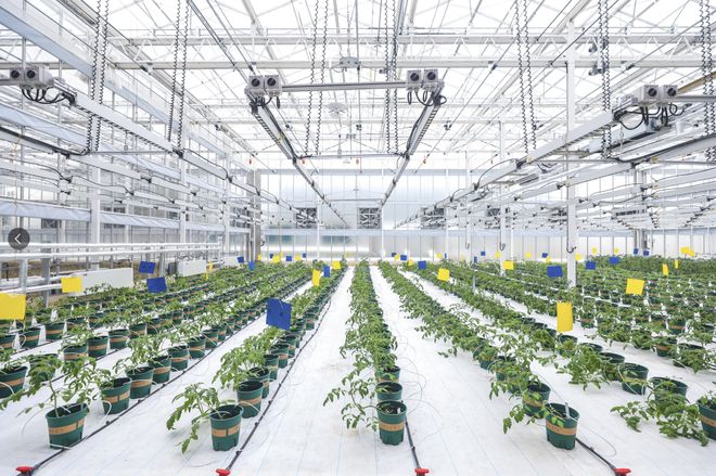 種濟(jì)天下,通達(dá)未來(lái)