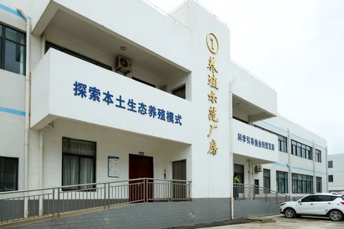 文昌馮家灣現代化漁業產業園 打造水產種業硅谷，讓水產住進“別墅”