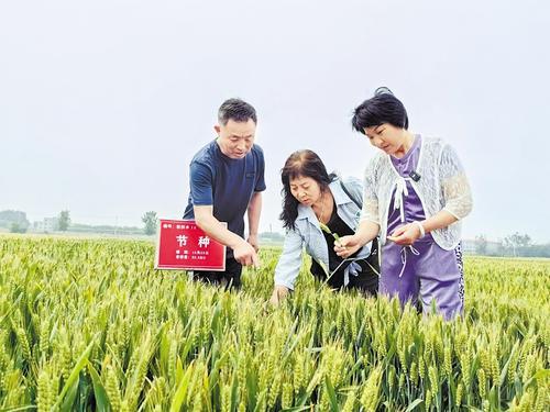 國家級(jí)展會(huì)賦能，洞見中國種業(yè)發(fā)展的新機(jī)遇